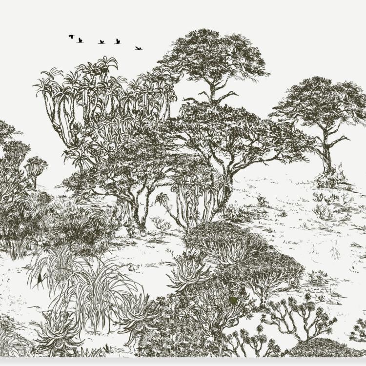 MALAWI/ Poster Géant ( 2.50 X 2.50 m)