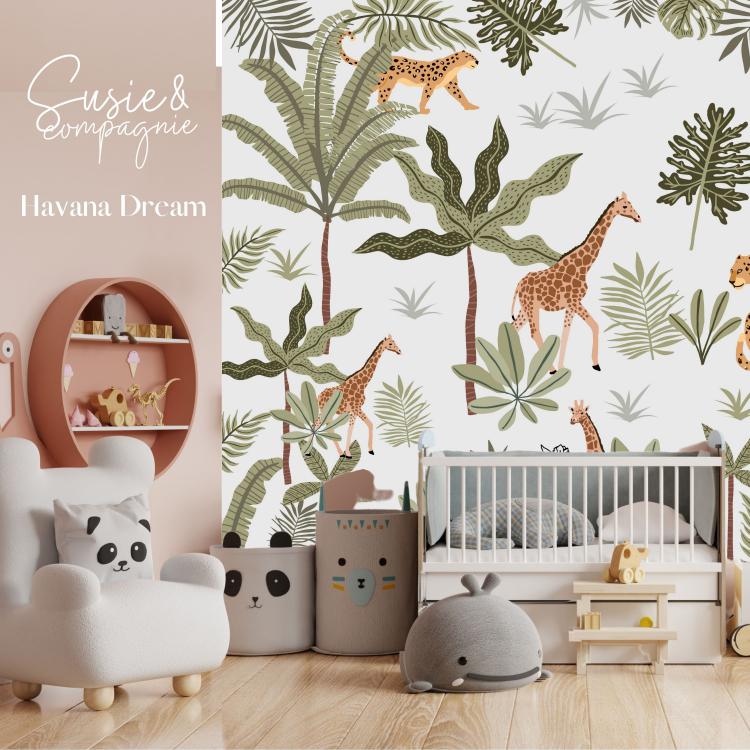 HAVANA DREAM /Interior