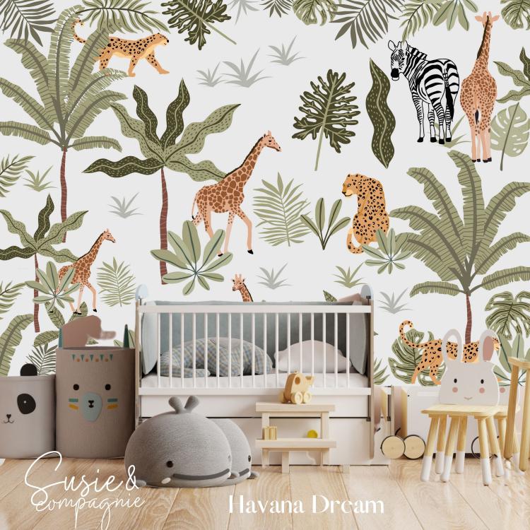 HAVANA DREAM /Interior