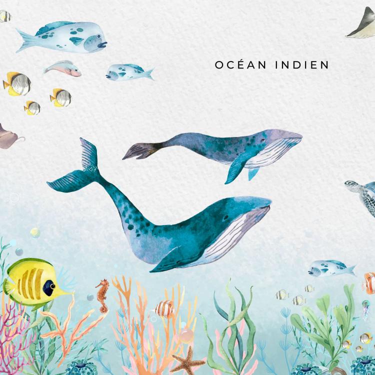 OCÉAN INDIEN - Détail