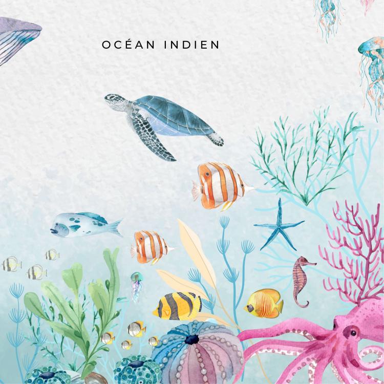 OCÉAN INDIEN - Détail